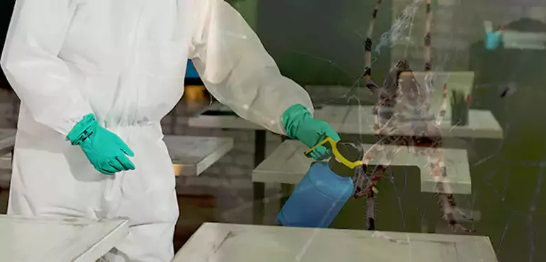 Why Buyers Still Want Homes With Pest Infestations in Maryland, MD?