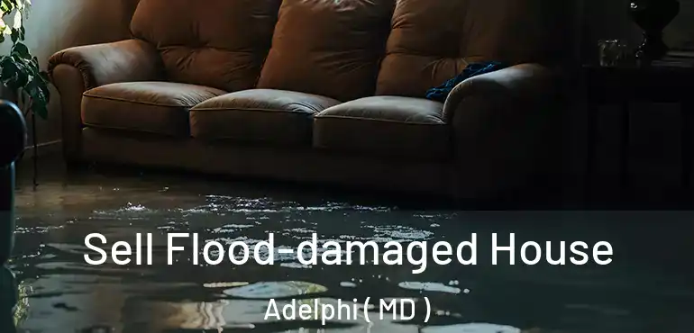  Sell Flood-damaged House Adelphi ( MD )