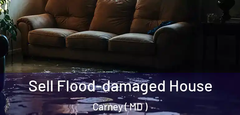  Sell Flood-damaged House Carney ( MD )