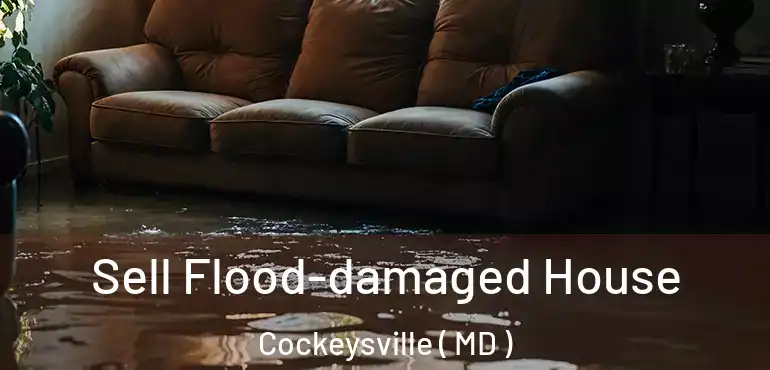  Sell Flood-damaged House Cockeysville ( MD )