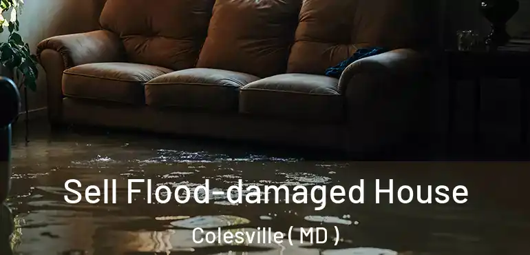  Sell Flood-damaged House Colesville ( MD )