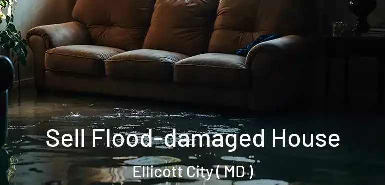  Sell Flood-damaged House Ellicott City ( MD )