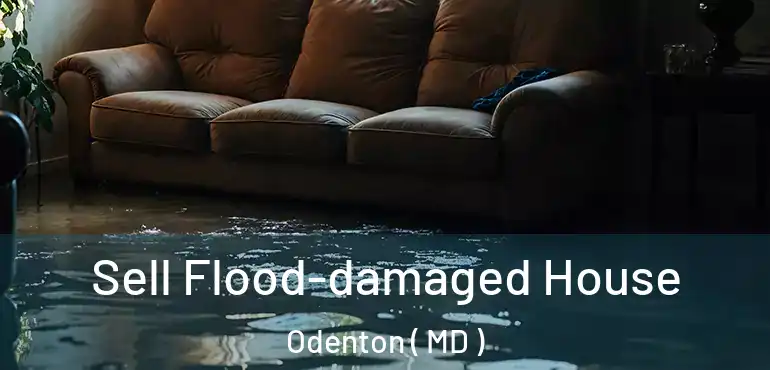  Sell Flood-damaged House Odenton ( MD )