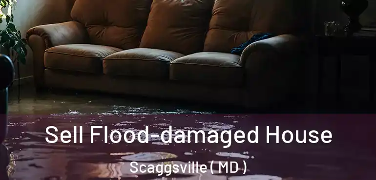  Sell Flood-damaged House Scaggsville ( MD )