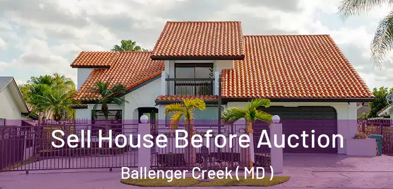  Sell House Before Auction Ballenger Creek ( MD )