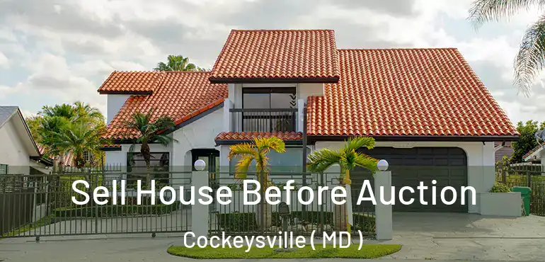  Sell House Before Auction Cockeysville ( MD )