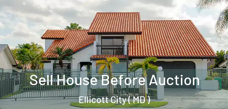  Sell House Before Auction Ellicott City ( MD )