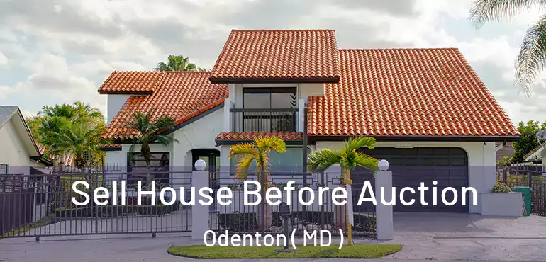  Sell House Before Auction Odenton ( MD )