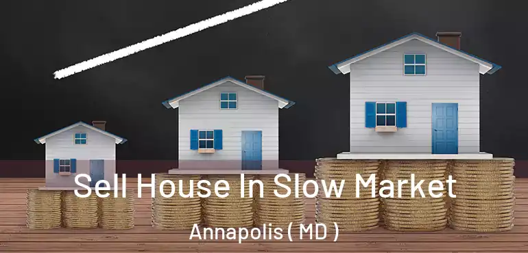  Sell House In Slow Market Annapolis ( MD )