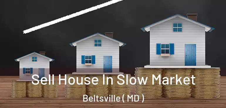  Sell House In Slow Market Beltsville ( MD )