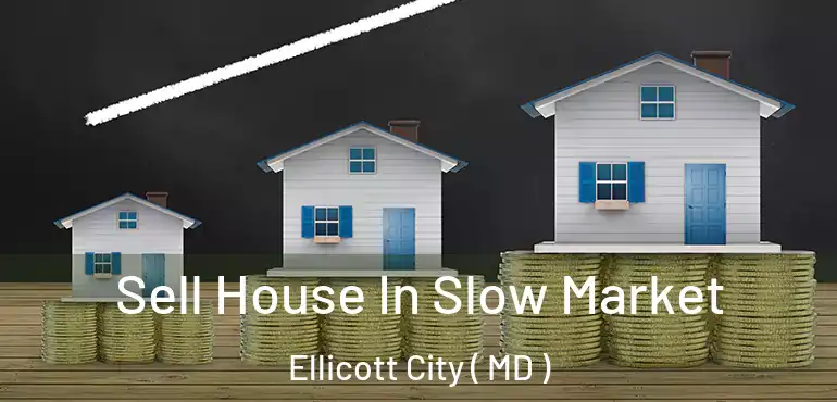  Sell House In Slow Market Ellicott City ( MD )