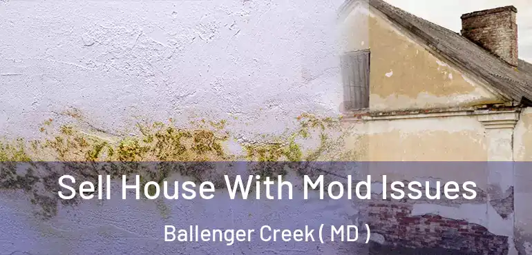  Sell House With Mold Issues Ballenger Creek ( MD )