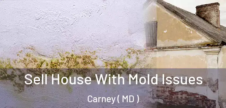  Sell House With Mold Issues Carney ( MD )