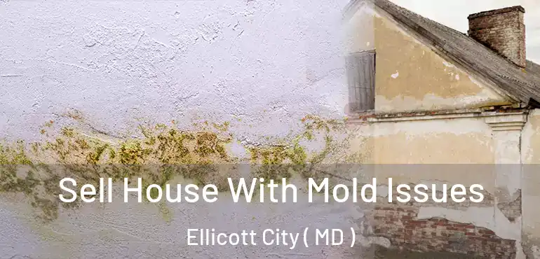  Sell House With Mold Issues Ellicott City ( MD )