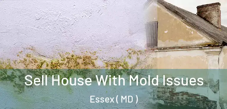  Sell House With Mold Issues Essex ( MD )