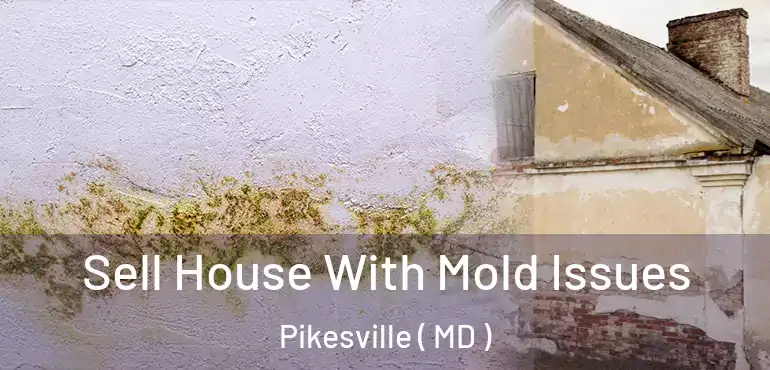  Sell House With Mold Issues Pikesville ( MD )