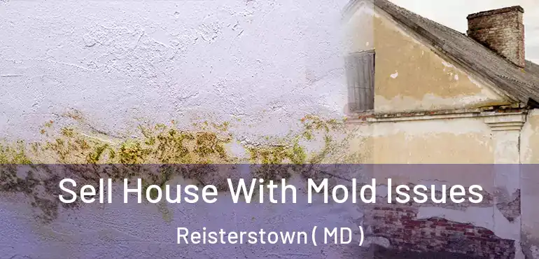  Sell House With Mold Issues Reisterstown ( MD )