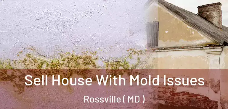  Sell House With Mold Issues Rossville ( MD )
