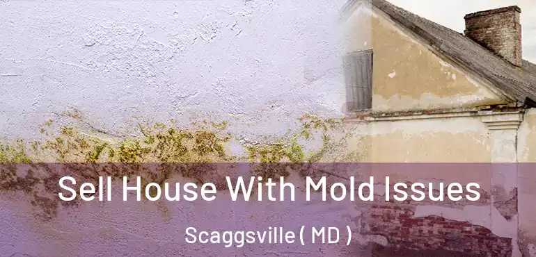  Sell House With Mold Issues Scaggsville ( MD )