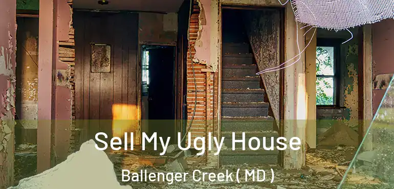  Sell My Ugly House Ballenger Creek ( MD )